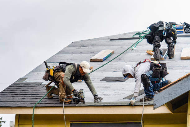 Professional Roofing technician working in New Trenton, IN